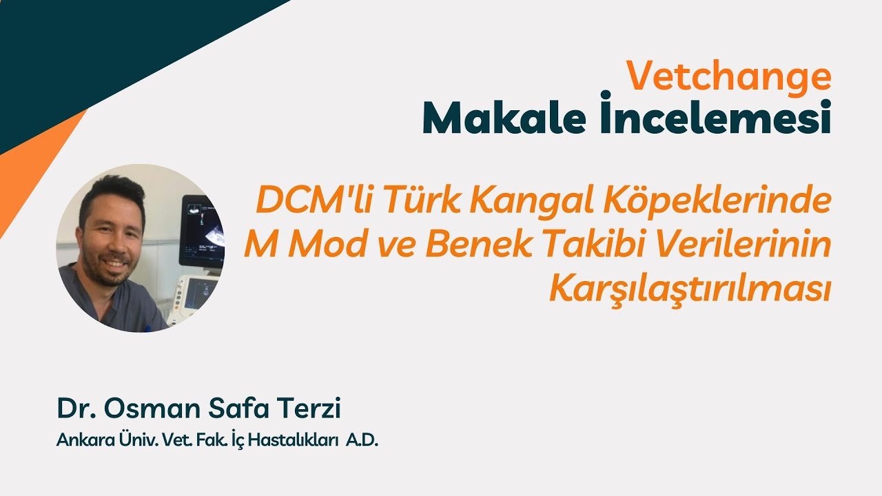 DCM'li Türk Kangal Köpeklerinde M Mod ve Benek Takibi Verilerinin Karşılaştırılması